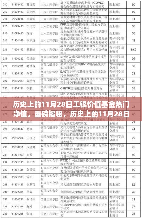 揭秘，歷史上的工銀價值基金凈值飆升背后的故事——聚焦11月28日熱門凈值日解密