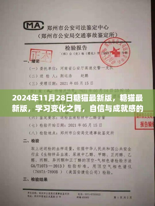 2024年11月28日糖貓最新版，糖貓最新版，學(xué)習(xí)變化之舞，自信與成就感的魔法之旅