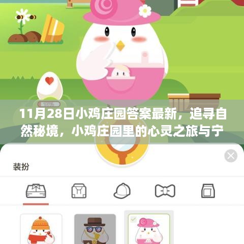 11月28日小雞莊園答案最新，追尋自然秘境，小雞莊園里的心靈之旅與寧靜的擁抱