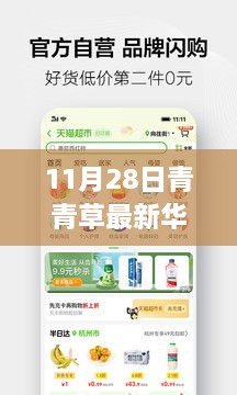 涉黃警告，11月28日青青草最新華人免費(fèi)資源獲取指南及全攻略