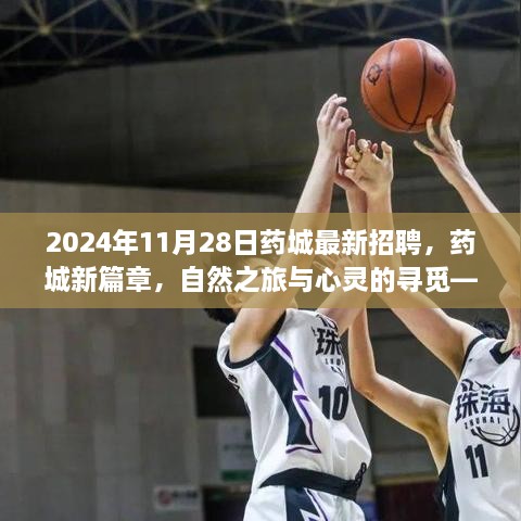 2024年11月28日藥城最新招聘，藥城新篇章，自然之旅與心靈的尋覓——2024年11月28日招聘之旅啟程啦！