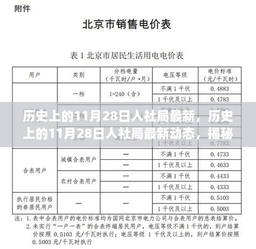 揭秘歷史上的11月28日人社局最新動態(tài)，改變未來的重要時刻回顧