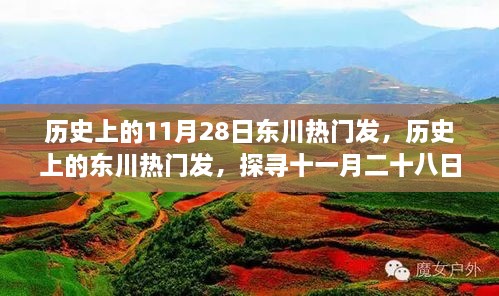 歷史上的11月28日東川熱門發(fā)，歷史上的東川熱門發(fā)，探尋十一月二十八日的輝煌印記