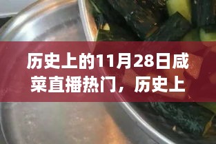 歷史上的11月28日咸菜直播熱門，歷史上的11月28日，見證咸菜直播熱門高科技產(chǎn)品的誕生與革新