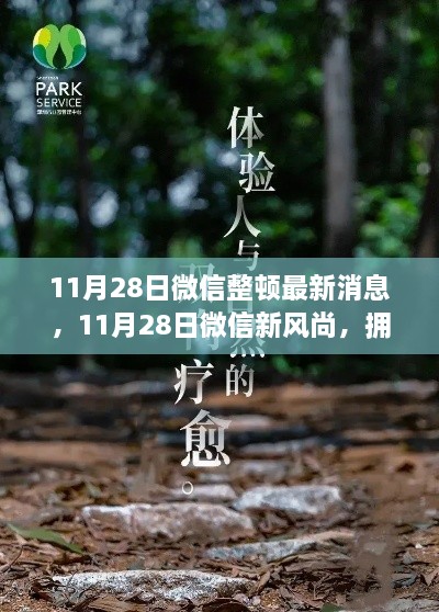 微信整頓新動態(tài)，啟程心靈之旅，擁抱自然新風尚