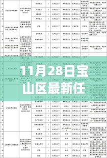 11月28日寶山區(qū)干部任免更新，流程詳解與操作指南