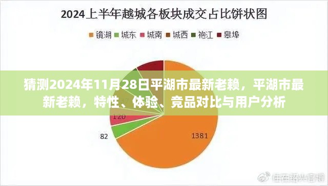 平湖市最新失信人員解析，特性、體驗(yàn)、競品對比與用戶洞察（預(yù)測至2024年11月）