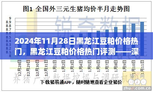 黑龍江豆粕價(jià)格熱門(mén)解析，深度剖析豆粕特性、用戶(hù)體驗(yàn)與目標(biāo)用戶(hù)群體分析報(bào)告