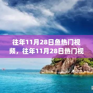 往年11月28日熱門(mén)視頻中的魚(yú)躍現(xiàn)象，深度解析與觀點(diǎn)闡述