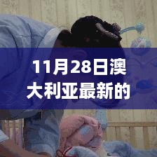 11月28日澳大利亞最新的政策，澳大利亞新政策啟航日，變化中的學(xué)習(xí)，自信與成就感的源泉