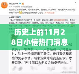 歷史上的11月28日，小催熱門消息回顧