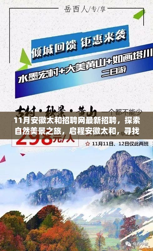 安徽太和最新招聘啟幕，探索自然美景之旅，啟程尋找內(nèi)心寧靜與和諧