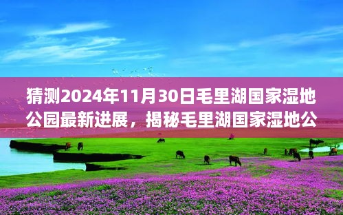 猜測2024年11月30日毛里湖國家濕地公園最新進展，揭秘毛里湖國家濕地公園，2024年最新進展展望