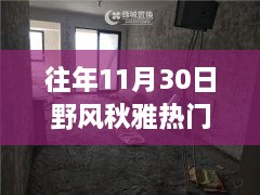 往年11月30日野風秋雅熱門房價，野風秋雅深處的寶藏，揭秘隱藏在小巷中的特色小店與往年熱門房價盛景