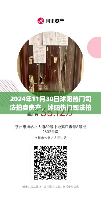 2024年11月30日沭陽熱門司法拍賣房產搶拍指南，最新房源大揭秘