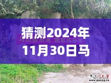 揭秘未來，馬山縣石豐村2024年11月30日最新動態(tài)展望指南