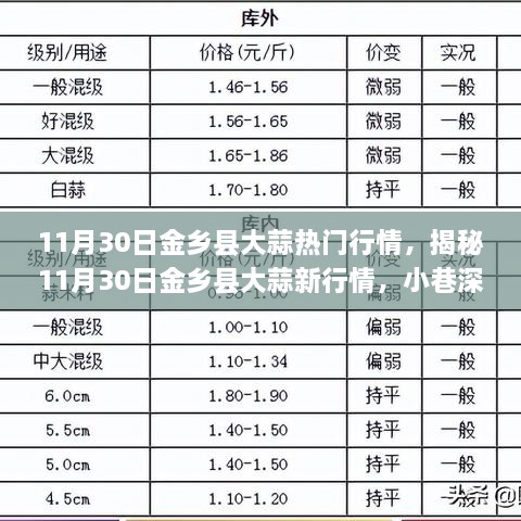 揭秘金鄉(xiāng)縣大蒜最新行情，小巷深處的獨(dú)特風(fēng)味大蒜（11月30日）