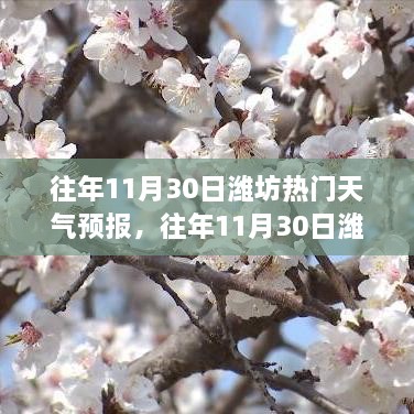 濰坊往年11月30日天氣預(yù)報回顧與旅行建議，氣象分析與建議