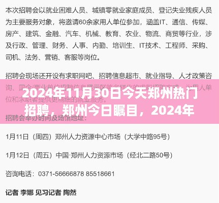 鄭州今日矚目，回顧2024年11月30日熱門招聘盛況