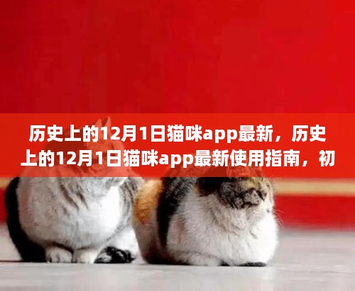 歷史上的12月1日貓咪app最新，歷史上的12月1日貓咪app最新使用指南，初學(xué)者與進(jìn)階用戶的全面教程