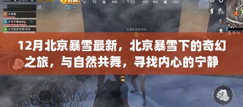 北京暴雪下的奇幻之旅，與自然共舞，探尋內(nèi)心寧靜的旅程