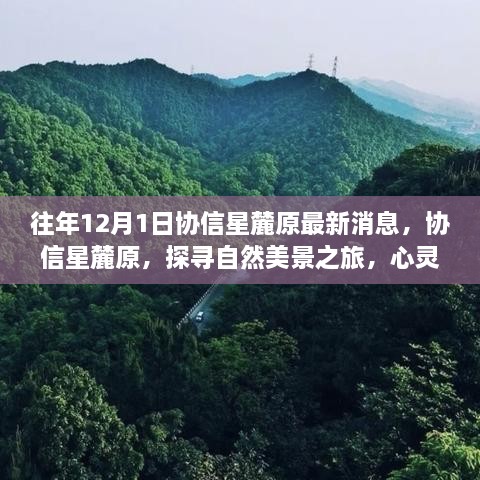 協(xié)信星麓原最新消息，探尋自然美景之旅的心靈港灣