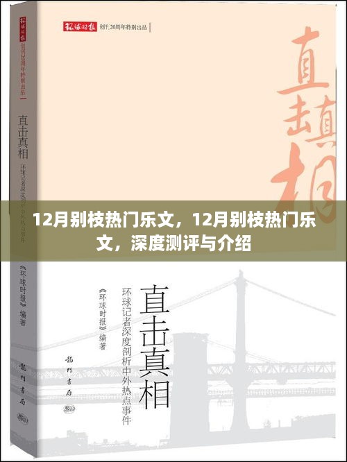 深度測(cè)評(píng)與介紹，12月別枝熱門樂(lè)文