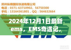 EMS奇遇記，快遞背后的溫暖故事揭秘，2024年12月最新篇章