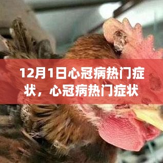 心冠病熱門癥狀深度解析，背景、事件與影響（最新更新）