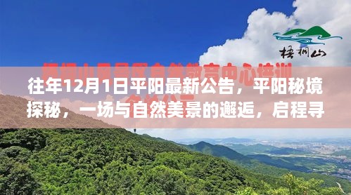 平陽秘境探秘之旅，與自然美景的邂逅，尋找寧靜之地啟程