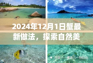 2024年12月2日 第13頁(yè)