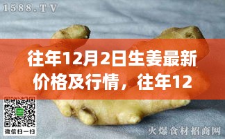 深度解析，往年12月2日生姜市場(chǎng)行情及最新價(jià)格概覽