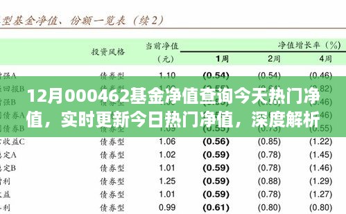 12月000462基金凈值查詢今天熱門凈值，實時更新今日熱門凈值，深度解析12月000462基金凈值查詢