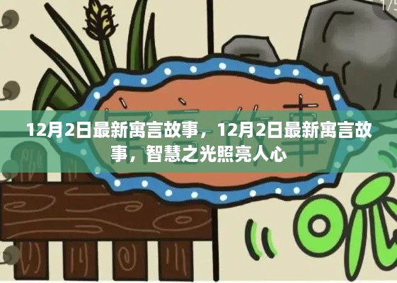 12月2日最新寓言故事，智慧之光照耀人心