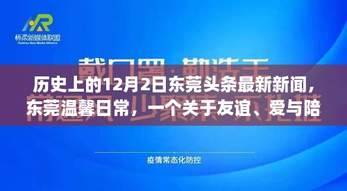 東莞頭條新聞，友誼與愛(ài)在冬日綻放——十二月二日的溫馨日常故事