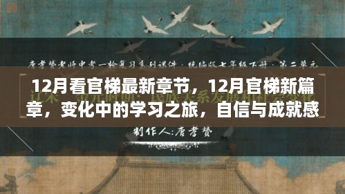 12月官梯新篇章，學(xué)習(xí)之旅的變化與自信成就之源