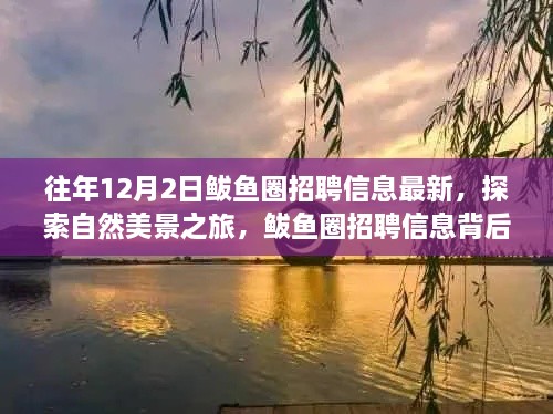 揭秘鲅魚圈招聘信息背后的自然美景之旅，寧靜秘境等你來探索