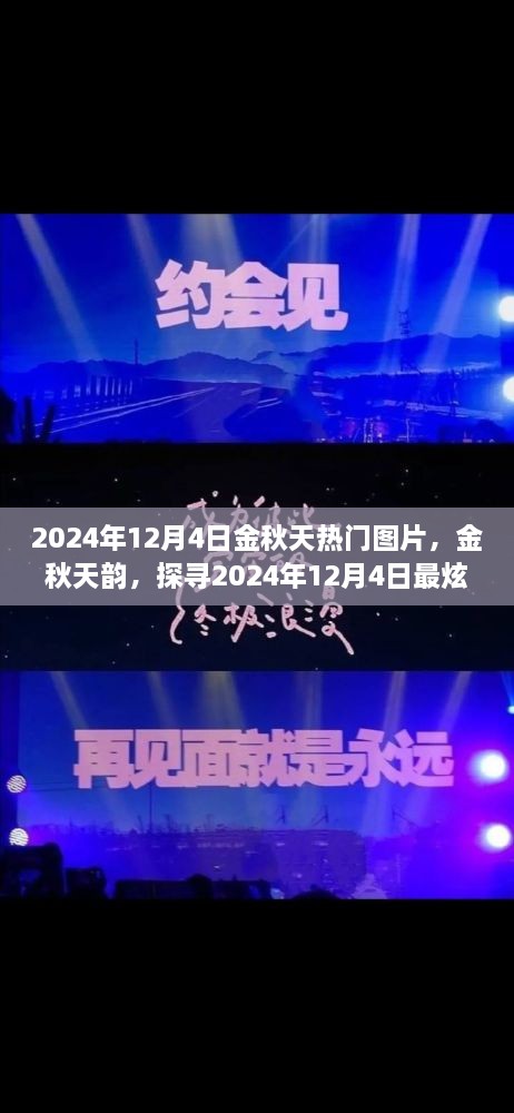 探尋金秋韻味，2024年12月4日熱門圖片精選