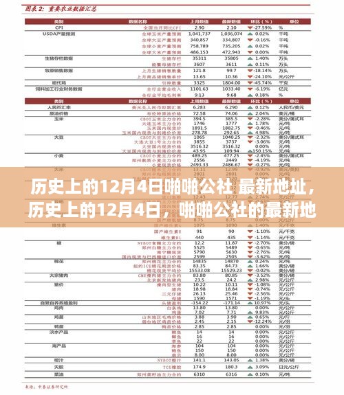 歷史上的12月4日，啪啪公社的最新地址及其背后的故事揭秘（科普文章）