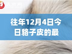 12月4日貉子皮最新價(jià)格及歷年趨勢(shì)解析，市場(chǎng)動(dòng)態(tài)一覽