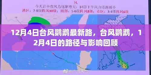 臺(tái)風(fēng)鸚鵡最新路徑與影響回顧，12月4日回顧報(bào)告