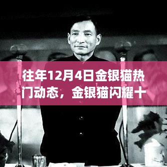 歷年金銀貓閃耀十二月，深度回顧歷年12月4日的熱門動態(tài)