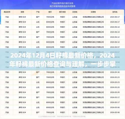 2024年12月4日籽棉最新價(jià)格，2024年籽棉最新價(jià)格查詢與理解，一步步掌握行情分析技能