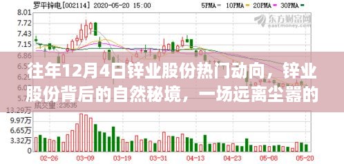 鋅業(yè)股份背后的自然秘境，一場遠離塵囂的心靈之旅揭秘往年12月4日熱門動向