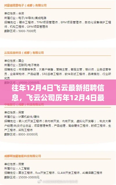 飛云公司歷年12月4日最新招聘信息深度解析與解讀