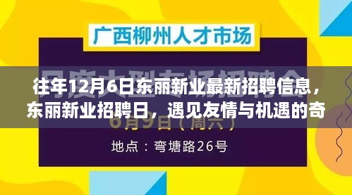 東麗新業(yè)招聘日，遇見友情與機(jī)遇的奇妙一天，最新招聘信息一網(wǎng)打盡！