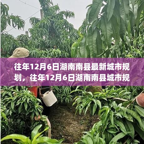 湖南南縣往年城市規(guī)劃揭秘，洞悉最新藍(lán)圖與發(fā)展趨勢