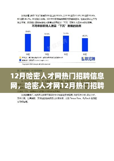 哈密人才網(wǎng)12月熱門招聘信息解讀，市場新動向與求職策略深度探討