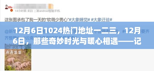 記藏于數(shù)字一二三間的溫馨日常，12月6日的奇妙時(shí)光與暖心相遇