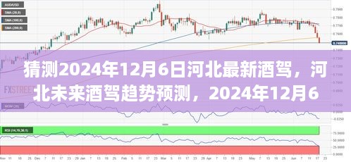 河北未來(lái)酒駕趨勢(shì)預(yù)測(cè)，以2024年視角洞察酒駕現(xiàn)狀與發(fā)展展望